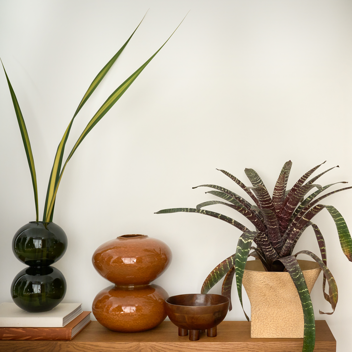 Urban Nature Culture | Vaas Foss Sugar Almond