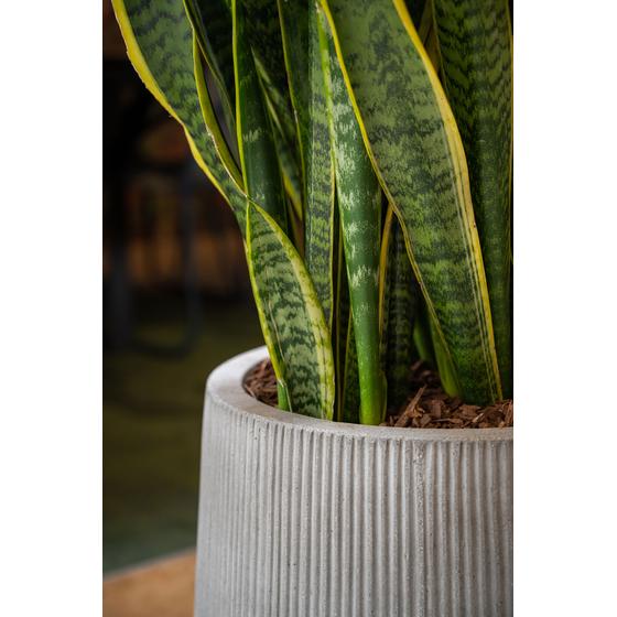 Pottery Pots - Bloempot Pax L, Donkergrijs Ø55 cm