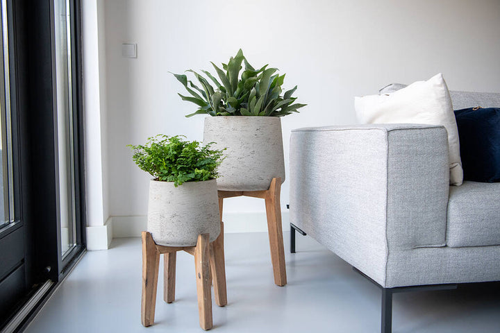 Pottery Pots - Bloempot Patt XXXL (Feet High), Grey Washed Ø55 cm