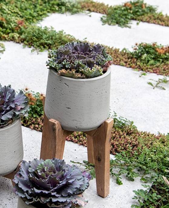 Pottery Pots - Bloempot Patt M (Feet High), Grey Washed Ø23 cm