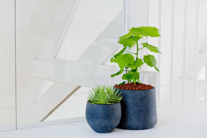Pottery Pots - Bloempot Orb M, Black Washed Ø48 cm