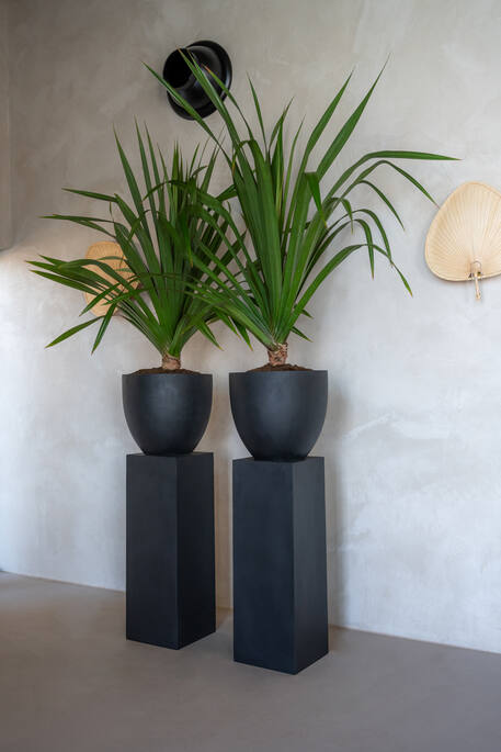 Pottery Pots - Bloempot Jesslyn XS, Zwart Ø42 cm