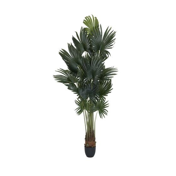 Pottery Pots - Nepplanten Palm tree M, Groen
