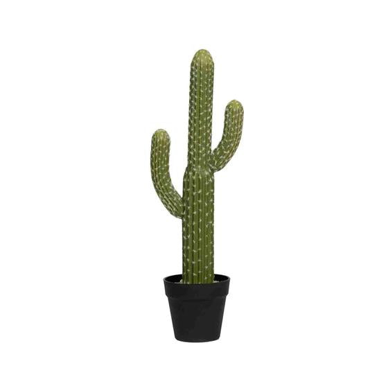 Pottery Pots - Nepplanten Cactus Saguaro M, Groen