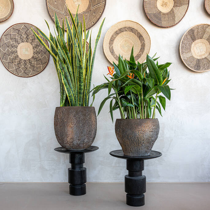 Pottery Pots - Bloempot Claire XS, Imperial Brown Ø40 cm