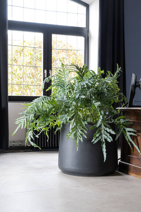 Pottery Pots - Bloempot Patt S, Zwart Ø42 cm