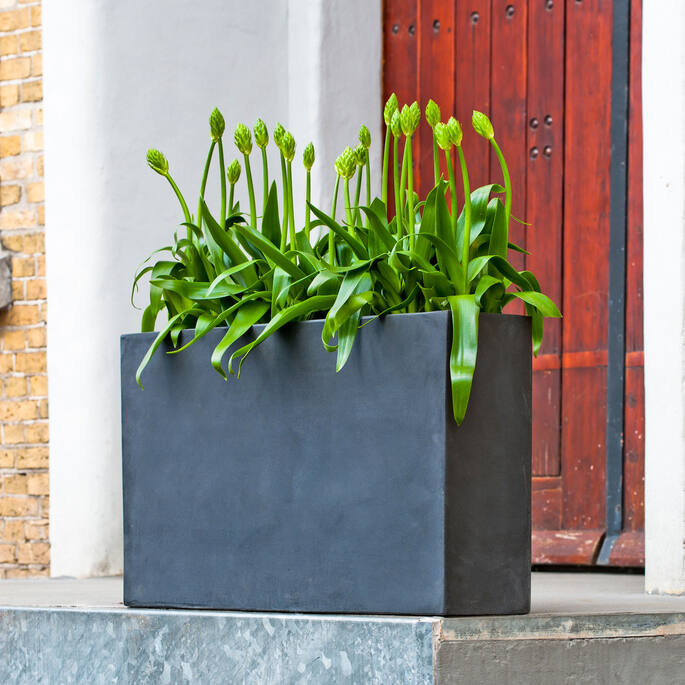 Pottery Pots - Bloempot Jort Slim S, Zwart 91x20 cm