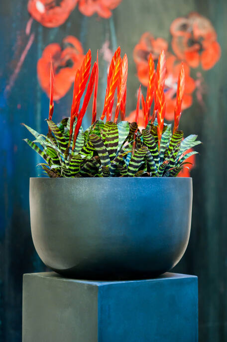 Pottery Pots - Bloempot Sunny L, Zwart Ø45 cm
