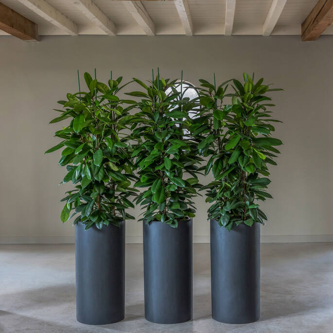 Pottery Pots - Bloempot Klax M, Zwart Ø30 cm