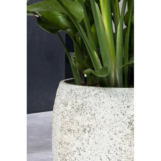 Pottery Pots - Bloempot Tarb XL, Imperial White Ø50 cm