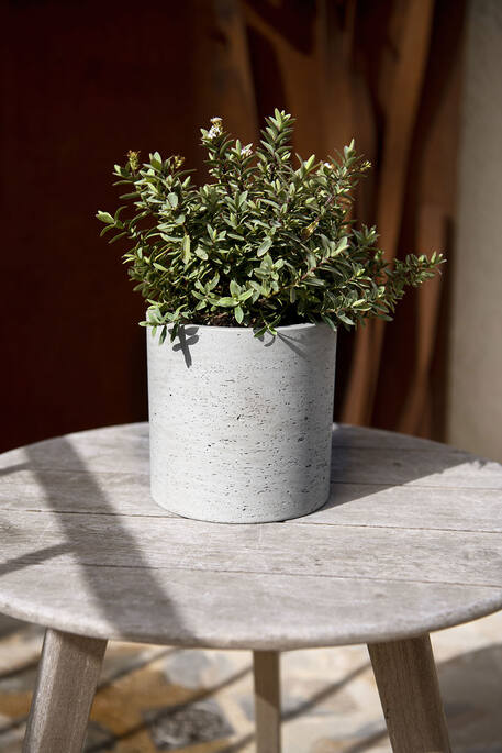 Pottery Pots - Bloempot Max S, Grey Washed Ø30 cm