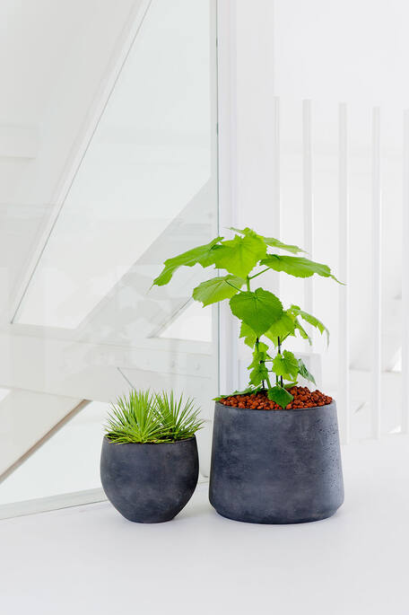 Pottery Pots - Bloempot Patt M, Black Washed Ø16,5 cm