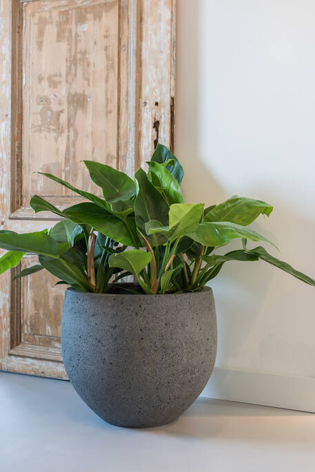 Pottery Pots - Bloempot Mini Orb XL, Diorite Grey Ø40 cm