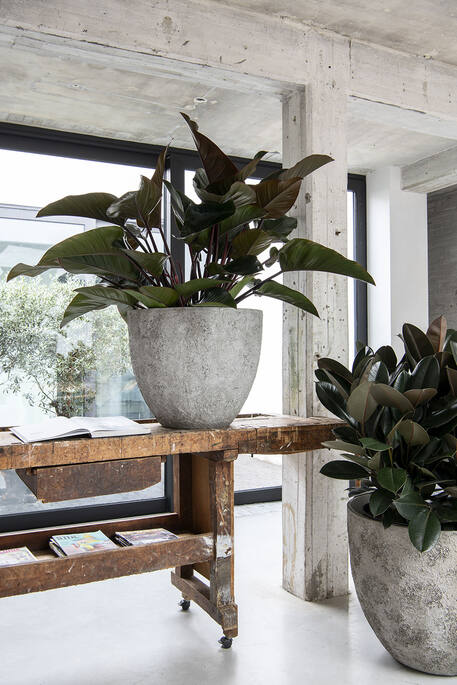 Pottery Pots - Bloempot Jesslyn XS, Imperial White Ø42 cm