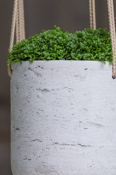 Pottery Pots - Bloempot Charlie XS (hanging) Grey Washed, Grey Washed Ø12 cm