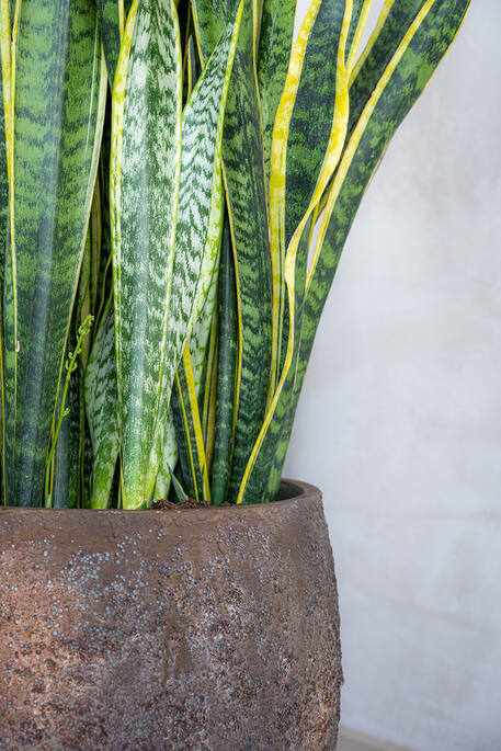 Pottery Pots - Bloempot Maraa M, Imperial Brown Ø45 cm