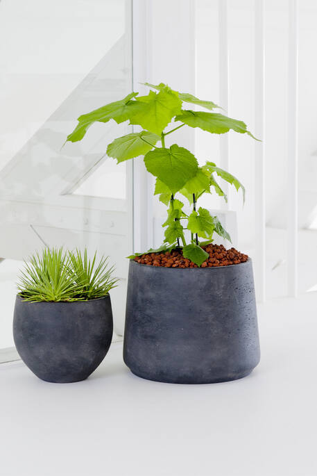 Pottery Pots - Bloempot Patt L, Clay Washed Ø20 cm