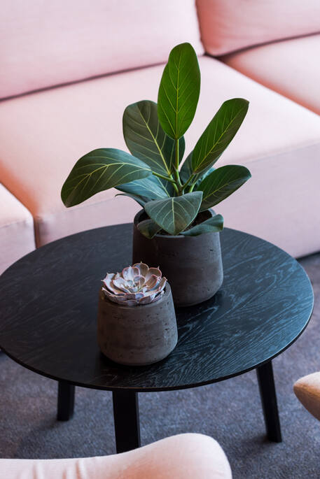 Pottery Pots - Bloempot Patt S, Black Washed Ø13,5 cm