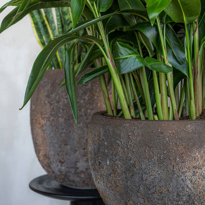 Pottery Pots - Bloempot Claire XS, Imperial Brown Ø40 cm
