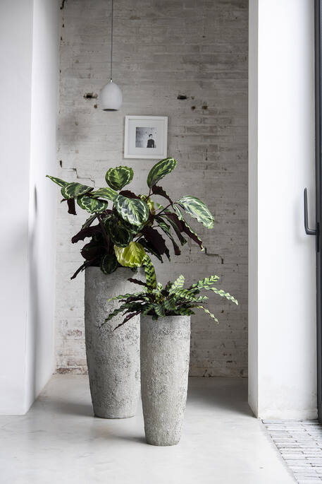 Pottery Pots - Bloempot Dax L, Imperial White Ø36 cm