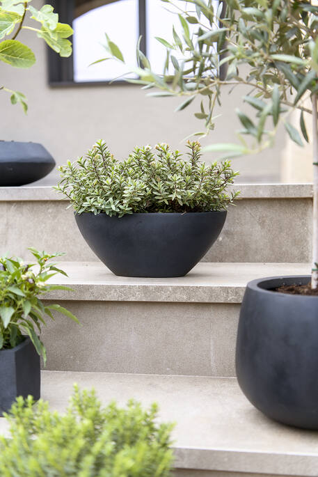Pottery Pots - Bloempot Dorant XS, Zwart 32x13,5 cm