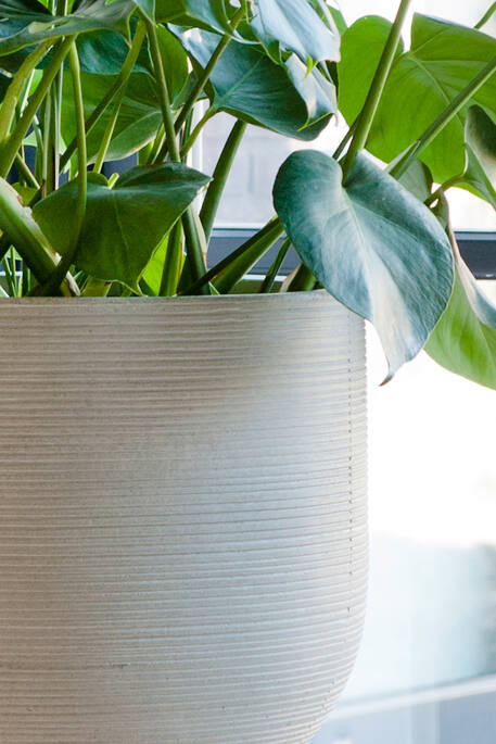 Pottery Pots - Bloempot Cody M, Lichtgrijs Ø35 cm
