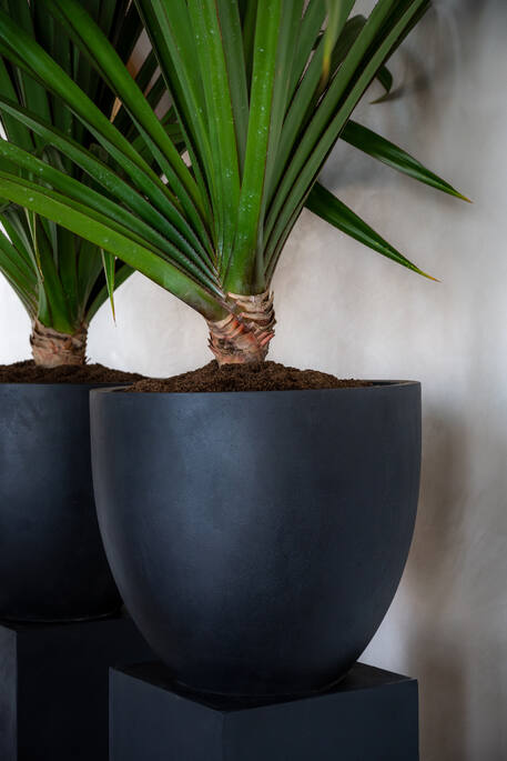 Pottery Pots - Bloempot Jesslyn XS, Zwart Ø42 cm