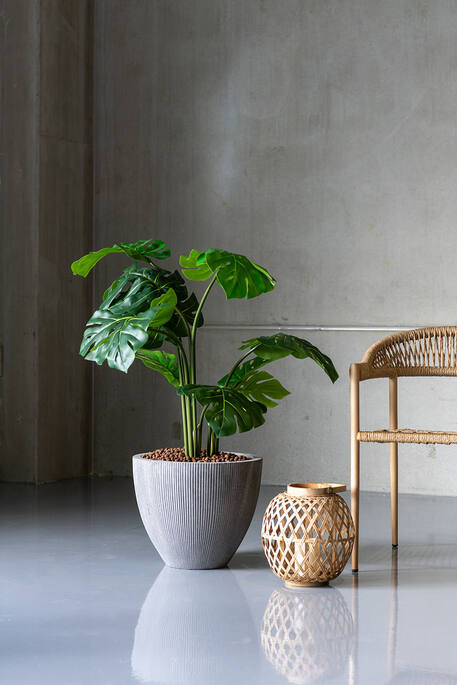 Pottery Pots - Nepplanten Monstera XL, Groen