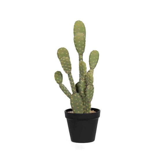 Pottery Pots - Nepplanten Cactus Opuntia M, Groen