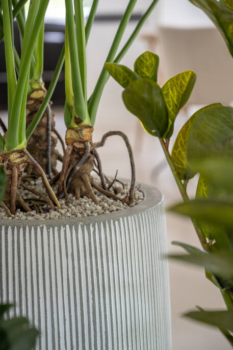 Pottery Pots - Bloempot Perry L, White Stripe Ø54 cm