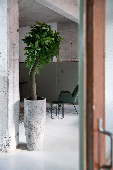 Pottery Pots - Bloempot Dax L, Imperial White Ø36 cm