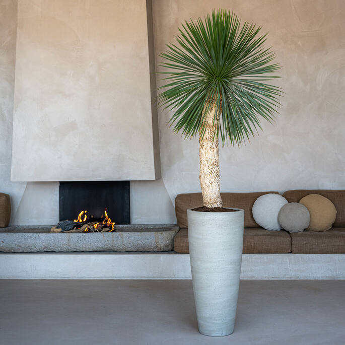 Pottery Pots - Bloempot Dax L, Beige Washed Ø37 cm