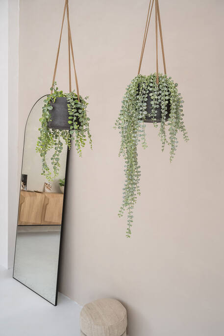 Pottery Pots - Nepplanten Senecio M, Groen