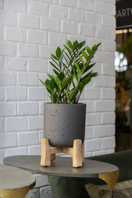 Pottery Pots - Bloempot Charlie L (Feet Low), Black Washed Ø29,5 cm