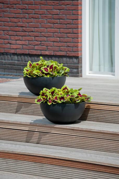 Pottery Pots - Bloempot Vic Bowl L, Zwart Ø60 cm