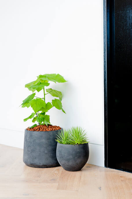 Pottery Pots - Bloempot Mini Orb XL, Black Washed Ø39 cm