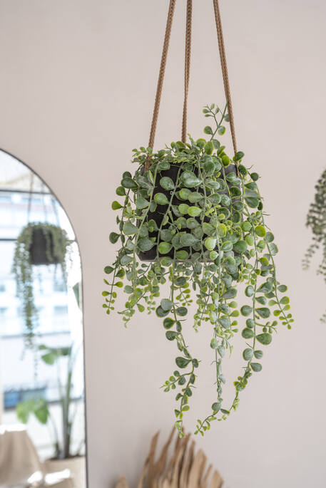 Pottery Pots - Bloempot Patt S (hanging) Black Washed, Black Washed Ø13,5 cm