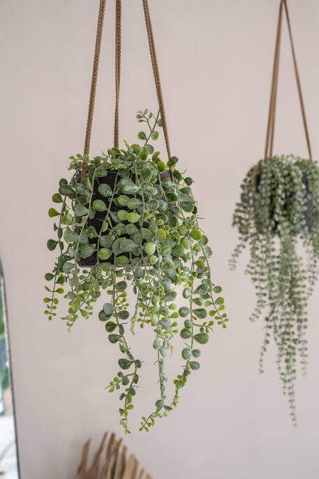 Pottery Pots - Bloempot Patt M (hanging) Black Washed, Black Washed Ø16,5 cm