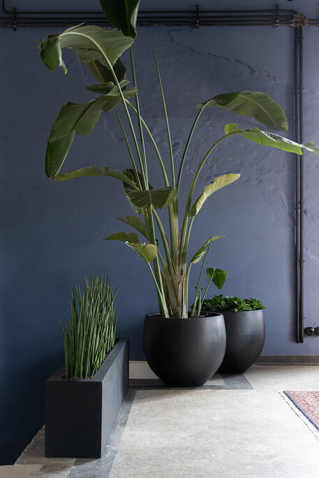 Pottery Pots - Bloempot Orb M, Zwart Ø53 cm