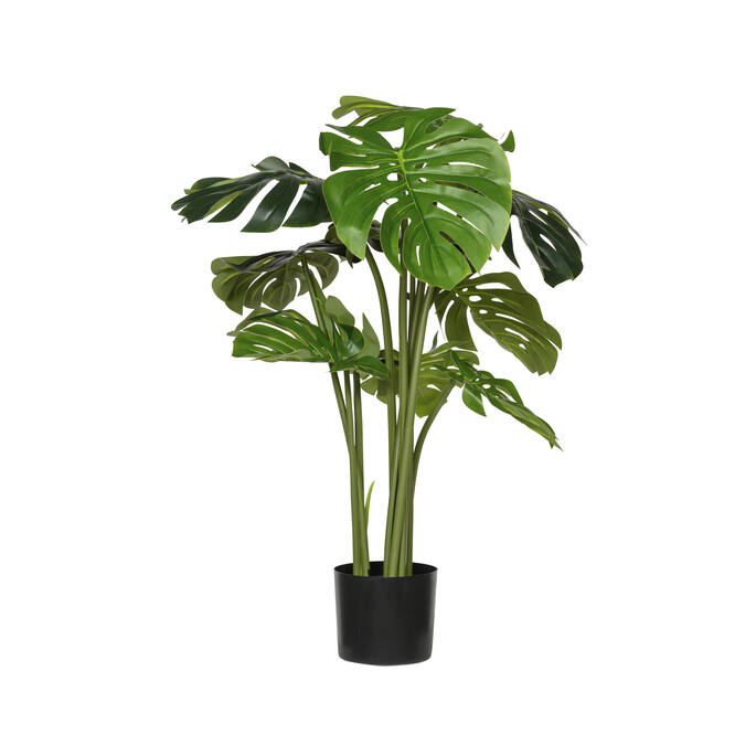 Pottery Pots - Nepplanten Monstera XXL, Groen