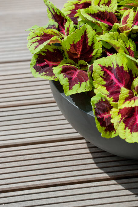 Pottery Pots - Bloempot Vic Bowl L, Zwart Ø60 cm