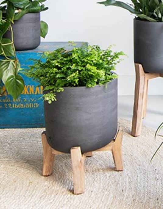 Pottery Pots - Bloempot Charlie XXL (Feet Low), Black Washed Ø47 cm