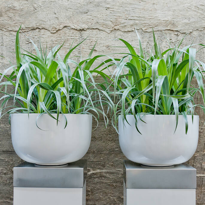 Pottery Pots - Bloempot Sunny M, Glanzend Wit Ø33 cm