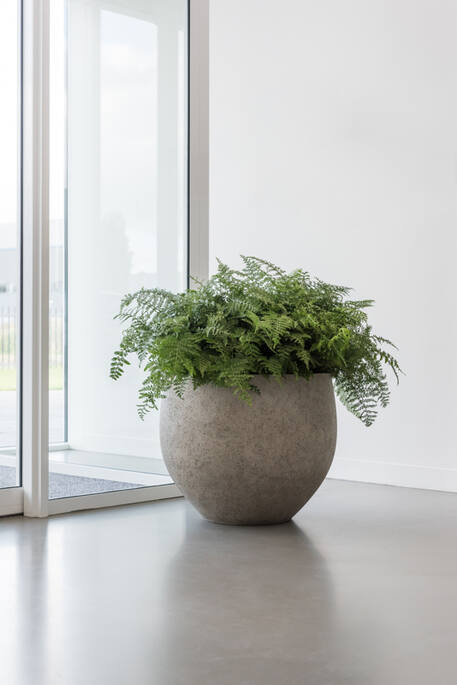 Pottery Pots - Bloempot Jumbo Orb XS, Beige Washed Ø69 cm
