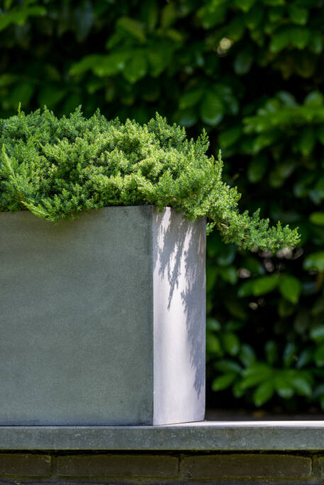 Pottery Pots - Bloempot Jumbo Jort XL, Grijs 150x60 cm