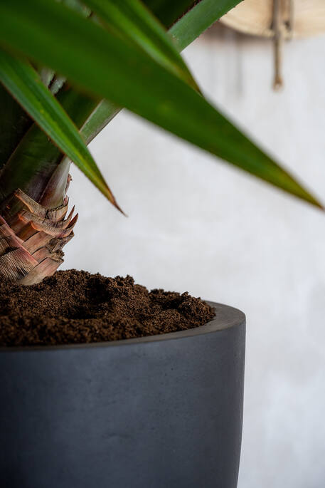 Pottery Pots - Bloempot City bowl L, Zwart Ø128 cm