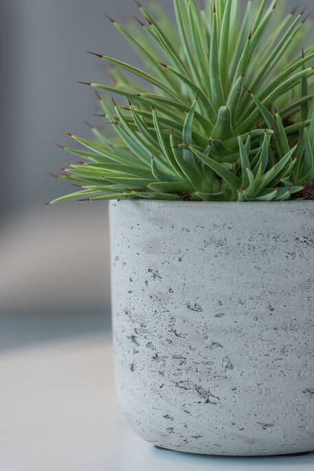 Pottery Pots - Bloempot Charlie XXS, Grey Washed Ø10,6 cm