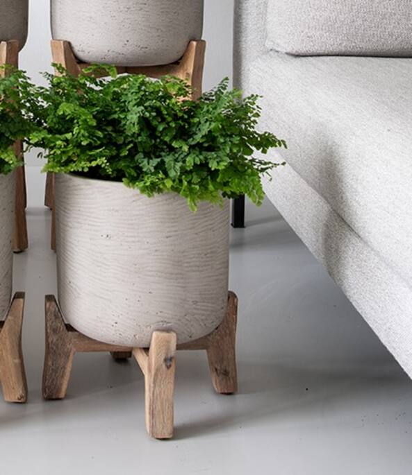 Pottery Pots - Bloempot Charlie M (Feet Low), Grey Washed Ø21 cm
