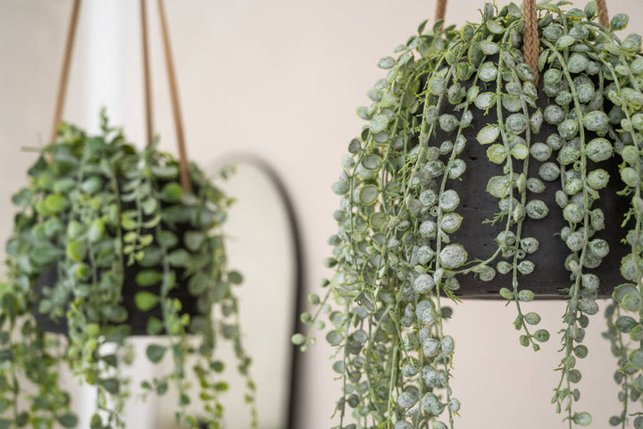 Pottery Pots - Bloempot Patt L (hanging) Black Washed, Black Washed Ø20 cm