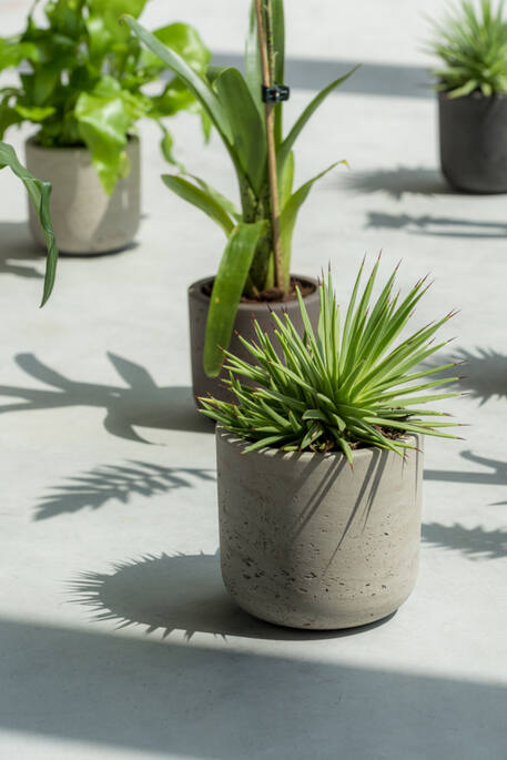 Pottery Pots - Bloempot Charlie XXXS, Grey Washed Ø8,5 cm